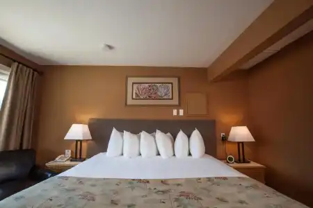 Swiss Chalet Motel - 57