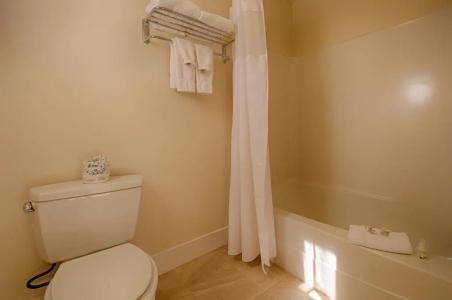 Sun & Ski Inn and Suites - 77