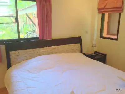 The New Villa - 6