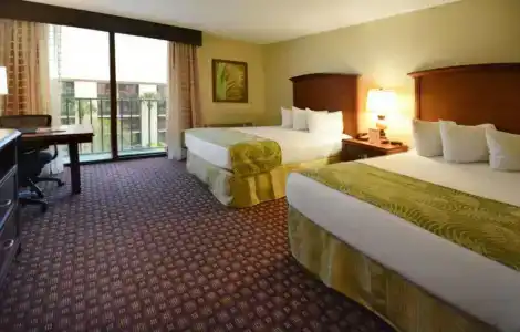 Rosen Inn, closest to Universal - 4