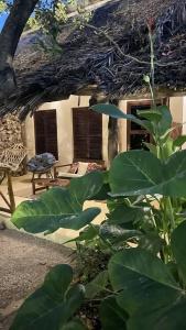 Atii Garden Bungalows - 17