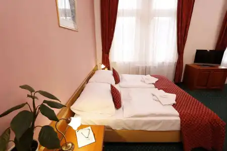 Spa Villa Smetana - 2