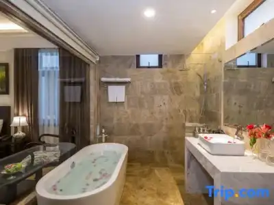 Hoi An Emotion Boutique Villa - 115