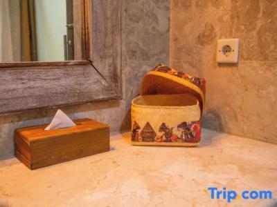 Alam Puri Art Museum and Villas - 106