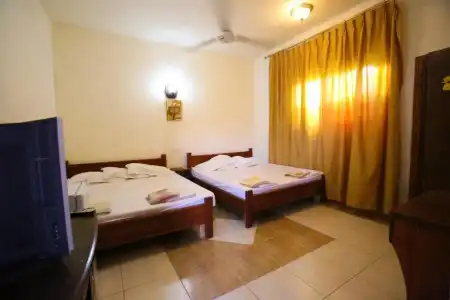 Bedouin Garden Village, Dive - 47