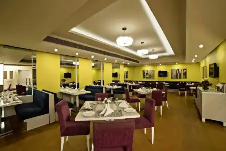 Sarovar Portico Naraina Delhi - 2