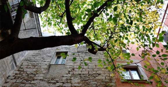 Suite Home Trani - 35