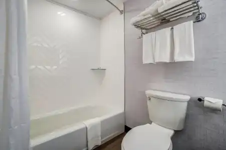 Holiday Inn GATINEAU – OTTAWA by IHG - 71