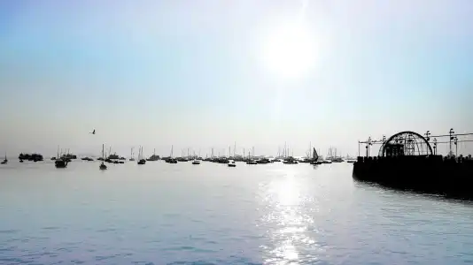 Harbour View - 14