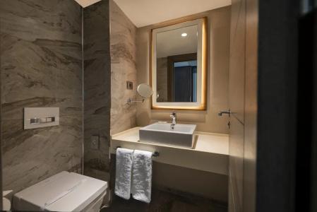 Holiday Inn KAYSERI - DUVENONU by IHG - 47