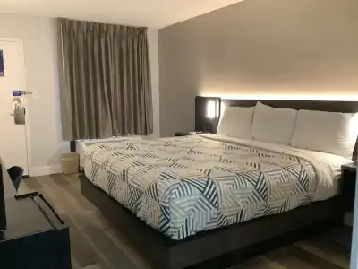 Motel 6 Memphis Northeast - 4