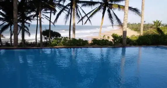 Turtle Bay - 8