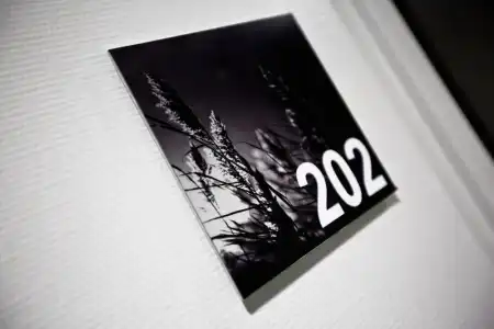 Brynel - 22