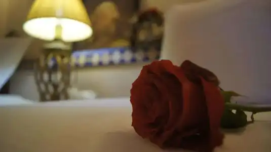 Riad Les Trois Palmiers El Bacha - 35