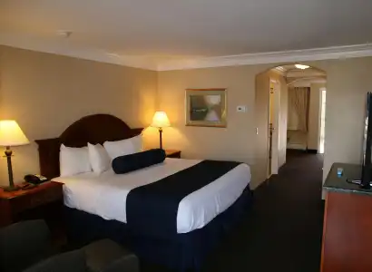 Best Western Plus Silver Saddle Inn - 77