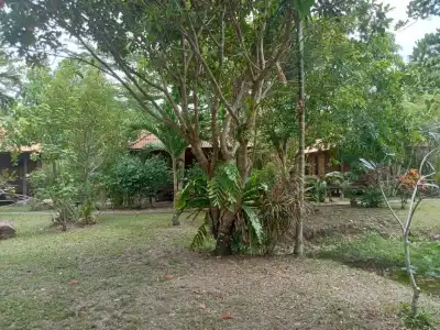 Ban Ban Bangalow - 2