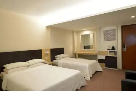 VIP (SG Clean Certified) - 30