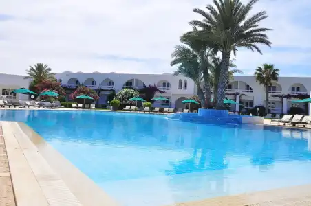 Bougainvillier Djerba - 2