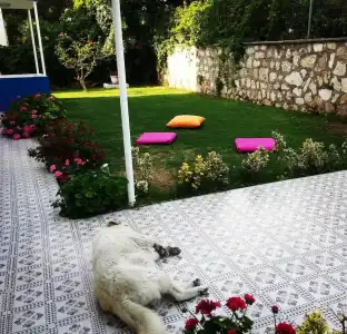Parla Apart Otel - 22