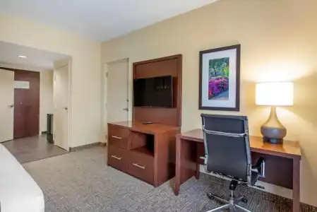 Comfort Suites Fredericksburg North - 64