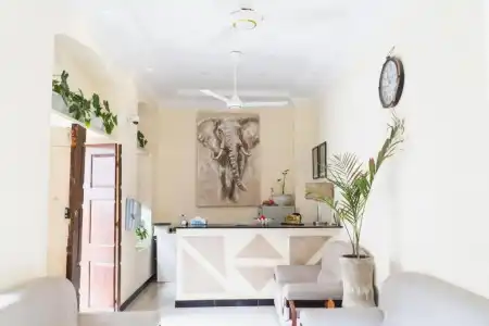 Antonio Garden - 0