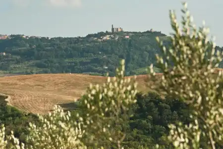 Agriturismo Podere Campaini - 38