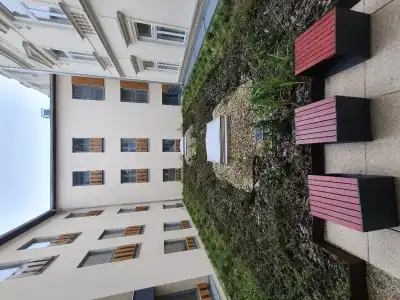 D50 - 0
