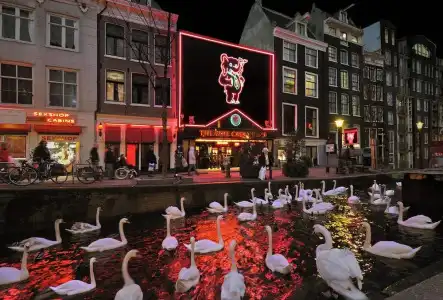 & Bar Royal Taste Amsterdam - 0