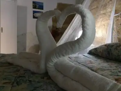 Anima Templi - 1