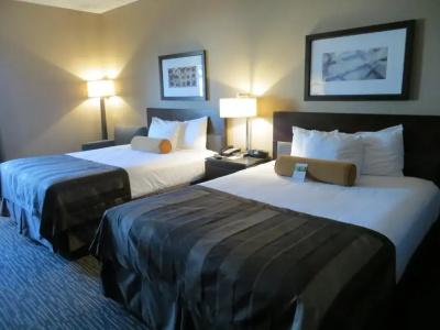 Hampton Inn by Hilton Los Angeles Airport - 58