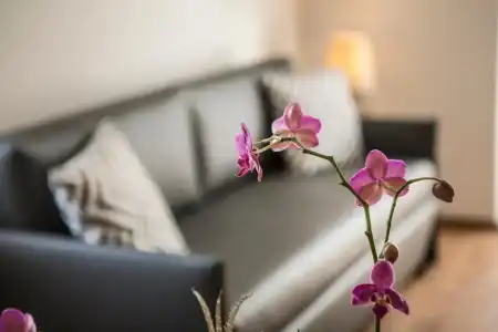 Le Servite Apartments - 64