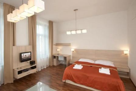 Residence U Cerne Veze - 37