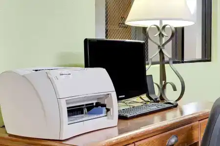 Super 8 by Wyndham Clearwater/St. Petersburg Airport - 3