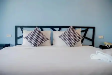 Sleep Whale (SHA Extra Plus) - 110