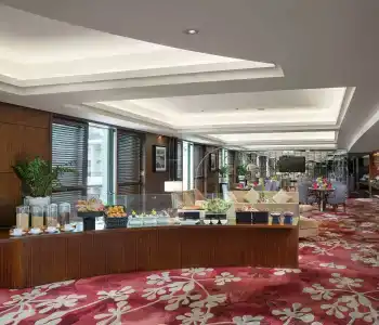Hilton Guangzhou Science City - 30