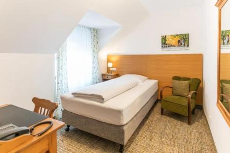 AltstadtGrauer Wolf - 19