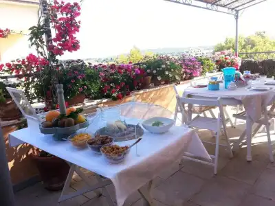 Blue Dolphin B&B - 7