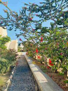 Dagris Villa Studios - 12
