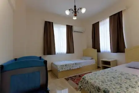Dalya Life - 50