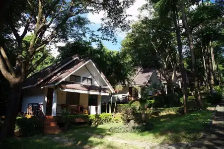 Lanta Manda - 18