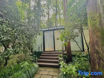 Lotus Glade - 121