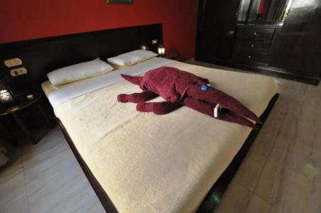 El Nakhil - 38