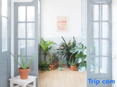 Soul Backpackers - 37