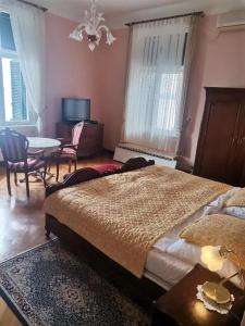 Villa Ariston - 28