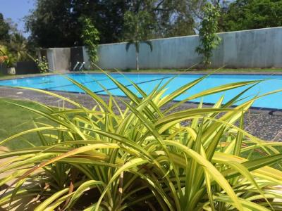 Saman Resort - 32