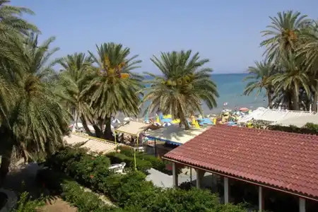 Zeuss Palm Beach - 27