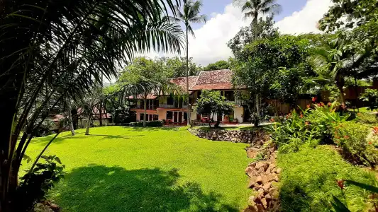 Alpha Resort & Spa - 35