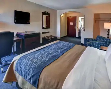 Quality Inn & Suites Irving DFW Airport South - 6