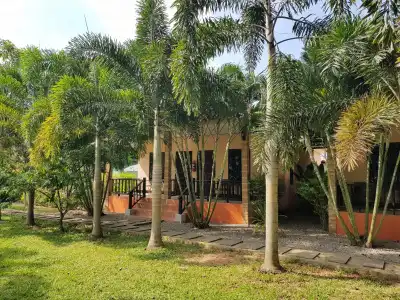 Naraya Resort - 13