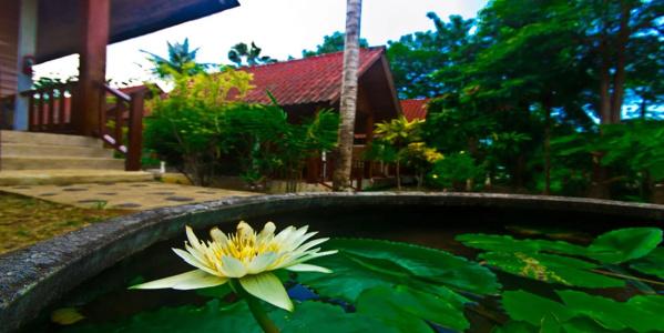 Krathom Khaolak Resort - 23
